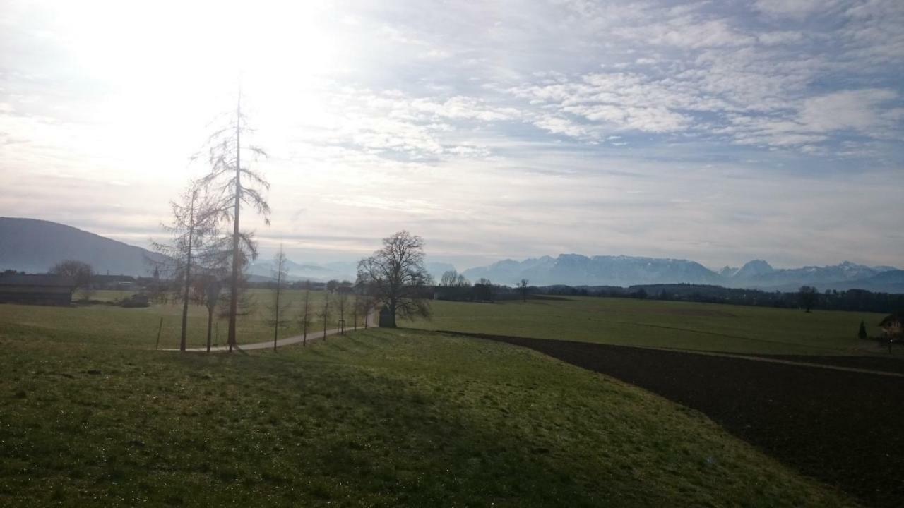 Ferienwohnung An Der Idyllischen Salzachschleife Naehe Salzburg Laufen Exteriör bild